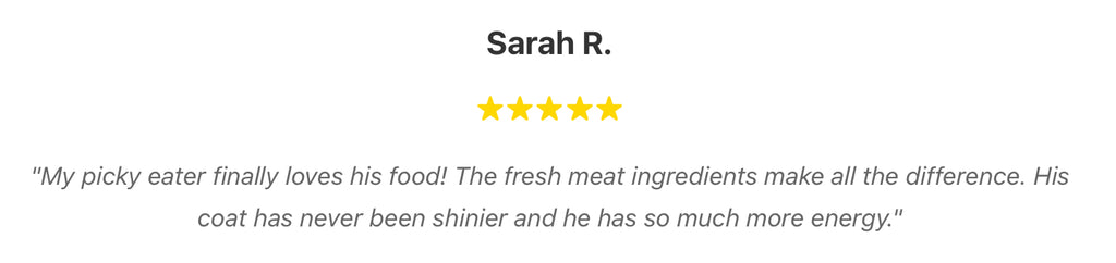 High-End Organic Dry Dog Food: Grain-Free, High Protein, Low Fat | Health-Boosting Nutrients for Active Dogs