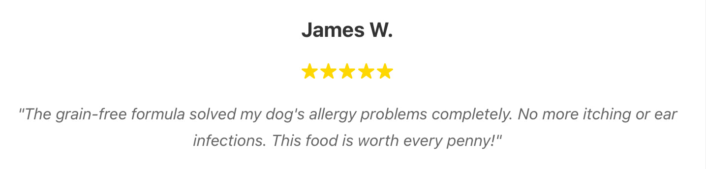 High-End Organic Dry Dog Food: Grain-Free, High Protein, Low Fat | Health-Boosting Nutrients for Active Dogs