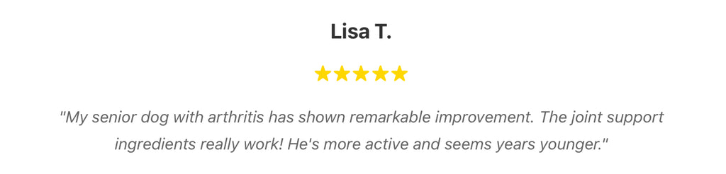 High-End Organic Dry Dog Food: Grain-Free, High Protein, Low Fat | Health-Boosting Nutrients for Active Dogs