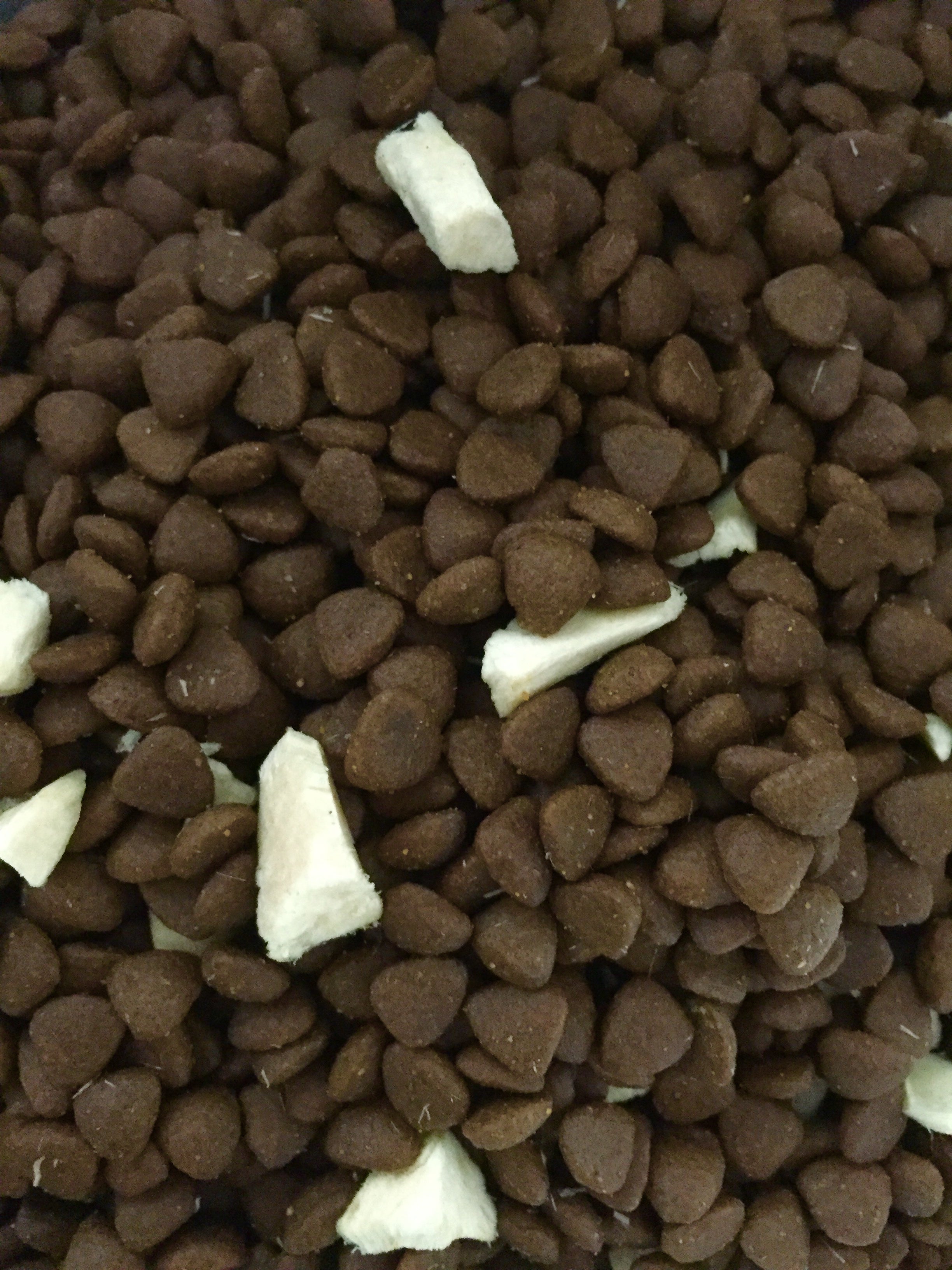 CAT MONSTER
Fresh Meat Dog Food 10kg