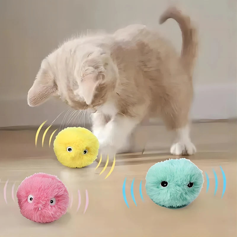 Interactive Cat Toy Ball - Smart Catnip Training Toy for Kenyan Cats