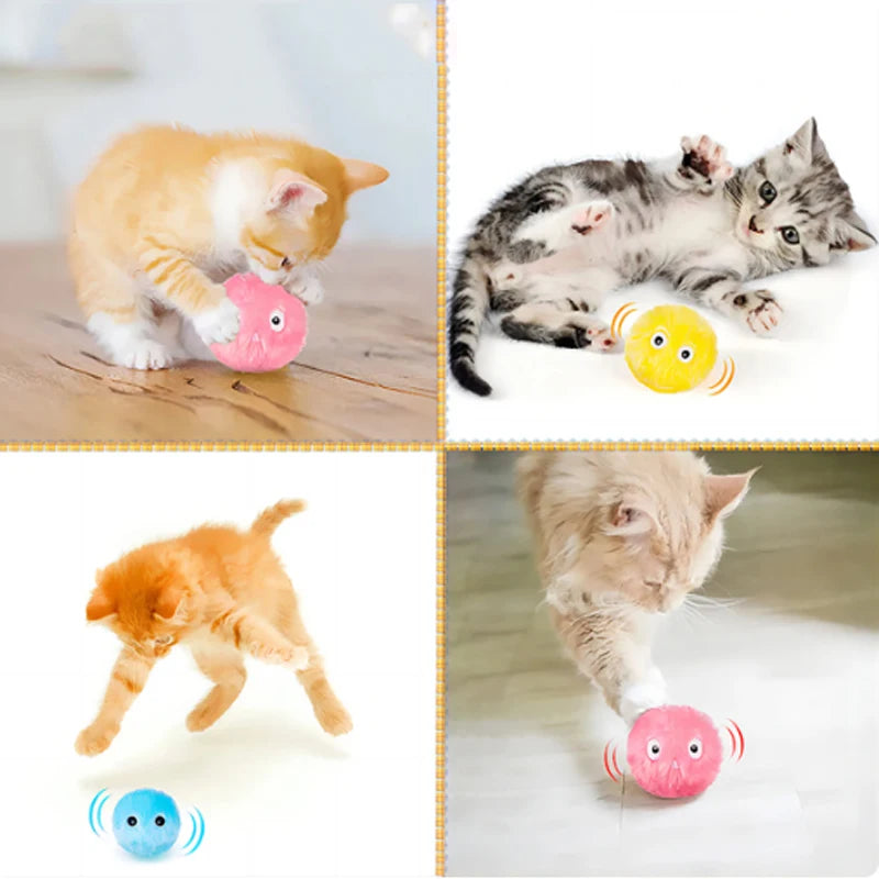 Interactive Cat Toy Ball - Smart Catnip Training Toy for Kenyan Cats